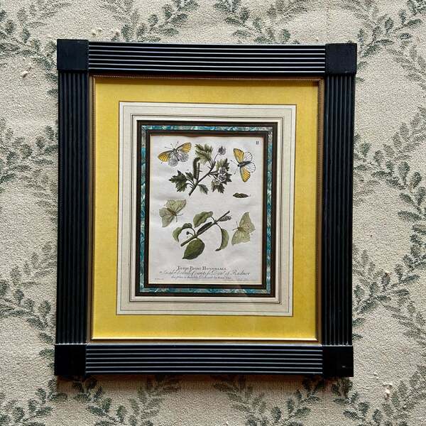 Set Of 4 Framed Hand Coloured 19th Century Prints