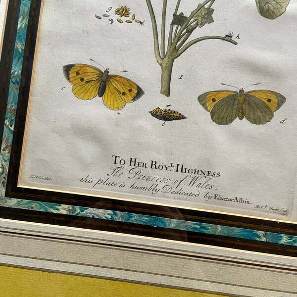 Set Of 4 Framed Hand Coloured 19th Century Prints photo Art
