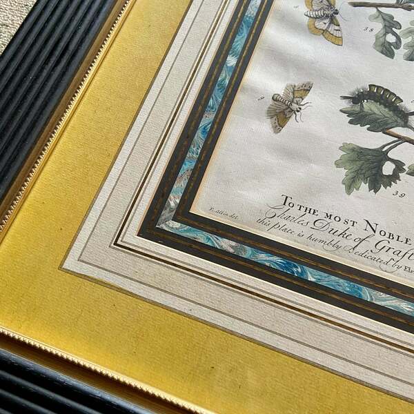 Set Of 4 Framed Hand Coloured 19th Century Prints photo 600.0