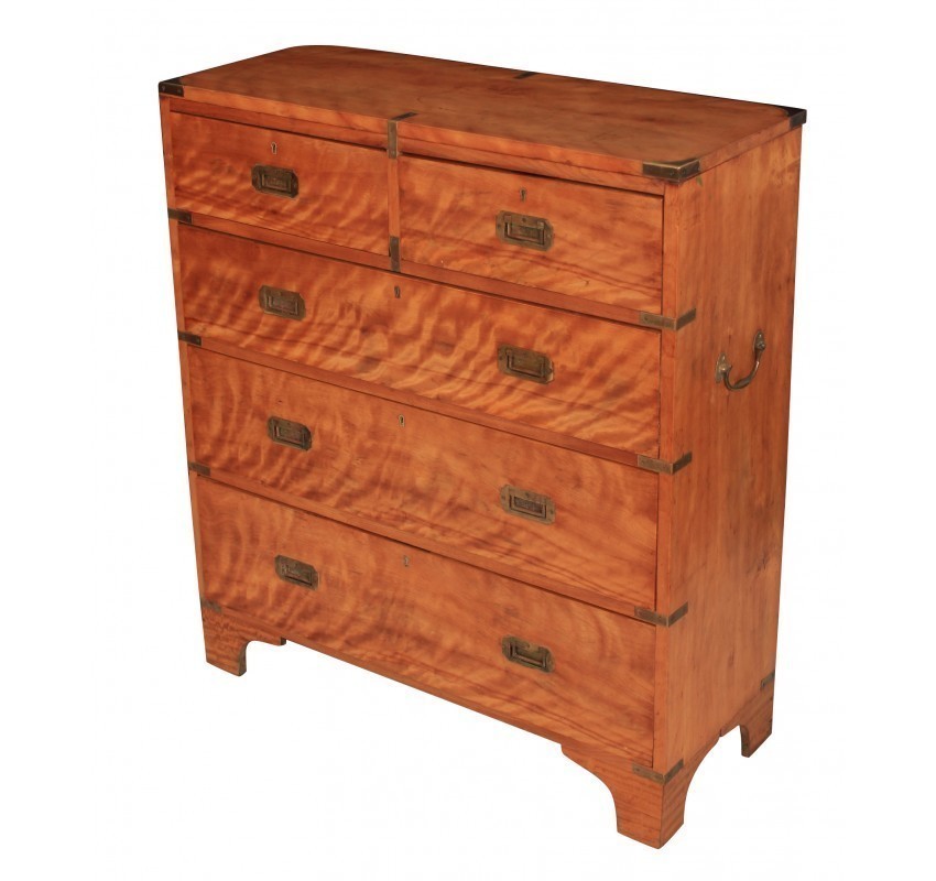 Satinwood Shallow Military Chest Vinterior