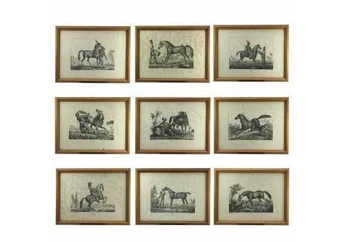 Luigi Giarré Horse Breeds Known In Europe Florence 1822