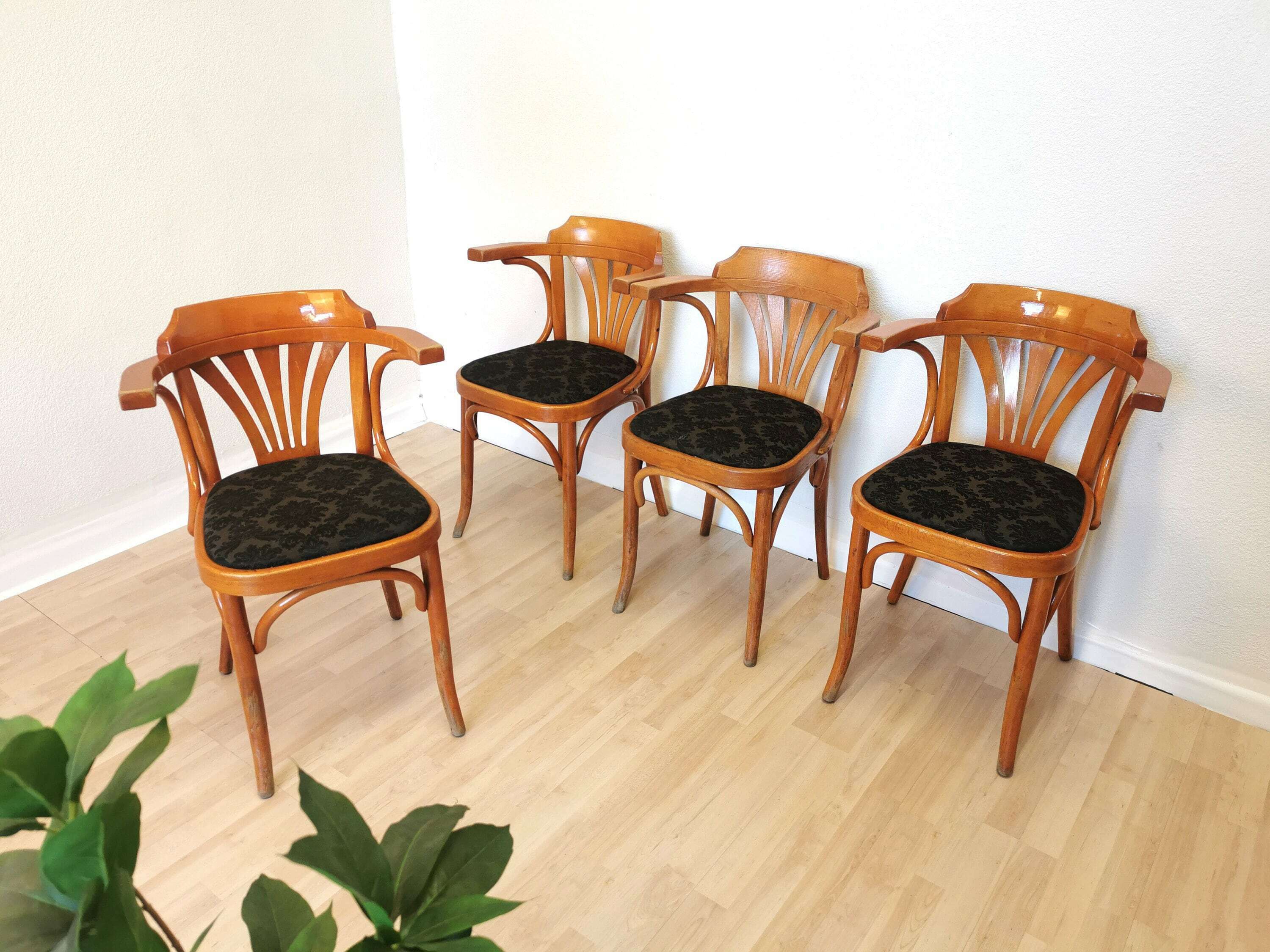Of Vintage Bentwood Dining Chairs In Irish Pub Style With
