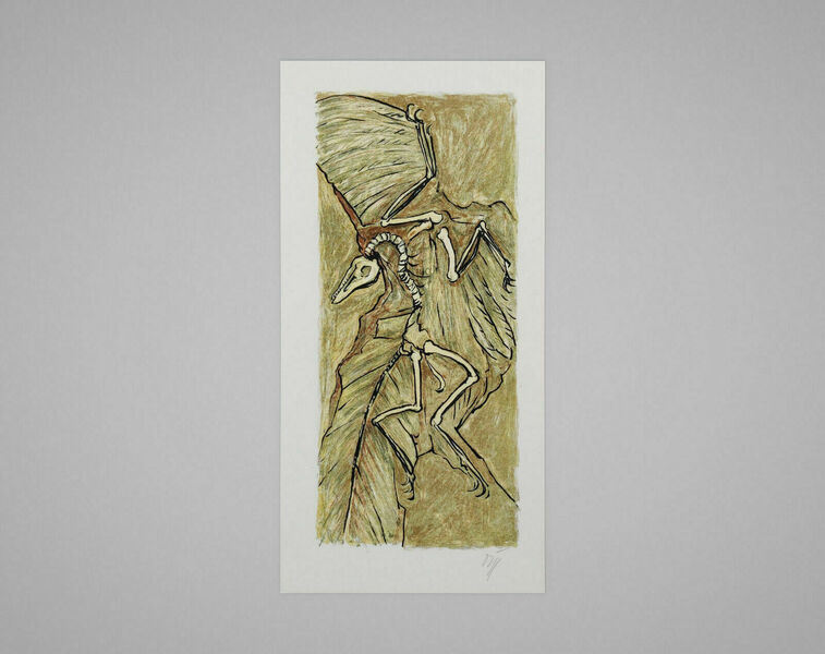 A.W. Diggelmann – Archaeopterix Fossil Lithograph Print   Signed 1970s Vintage
