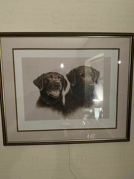 Signed Collector's Edition Chocolate Labrador &Mousse Jim Killen 661/950