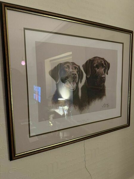 Signed Collector's Edition Chocolate Labrador &Mousse Jim Killen 661/950 photo furniture