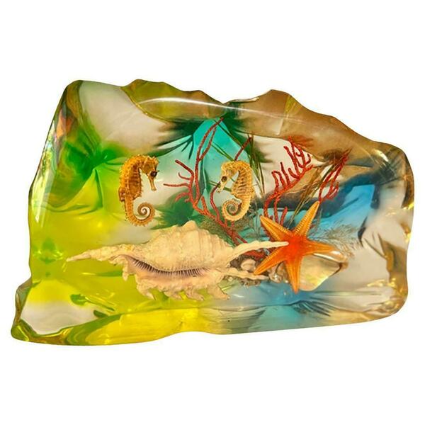 French, 1970s, Lucite Resin Cube Sculpture With With Seashells Andhyphocampi