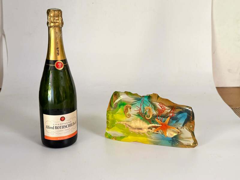 French, 1970s, Lucite Resin Cube Sculpture With With Seashells Andhyphocampi photo furniture
