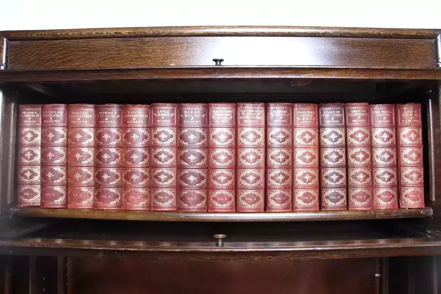 15 Volumes Vintage Charles Dickens Library Display Books Vinterior