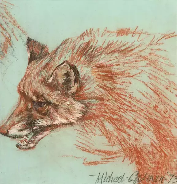 Michael Cadman Ri Arca (1920 2012)   Signed And Dated 1973 Pastel, Leering Fox