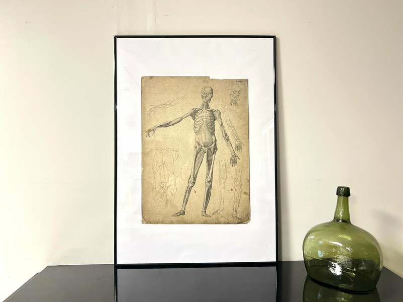 DR Munz Fecit, A 19th Century Anatomical Etching