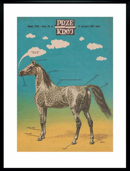Fixed Cover Of The Weekly Bying, 11/01/1987