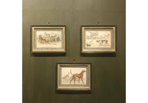 19th Century Framed Dog Engraving Pictures