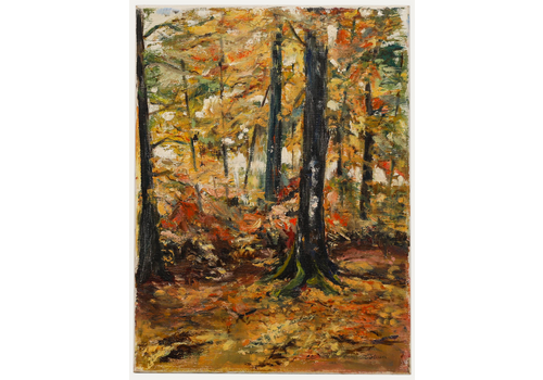 M. Steurs  Contemporary Oil, Autumn Forest