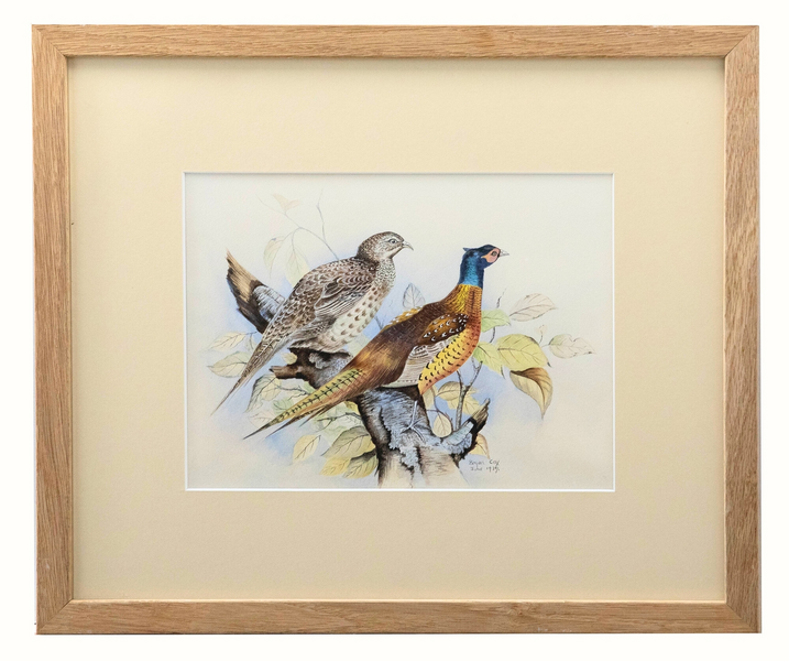 Bryan Cox Framed 20th Century Watercolour, Pheasants Roosting In A Tree