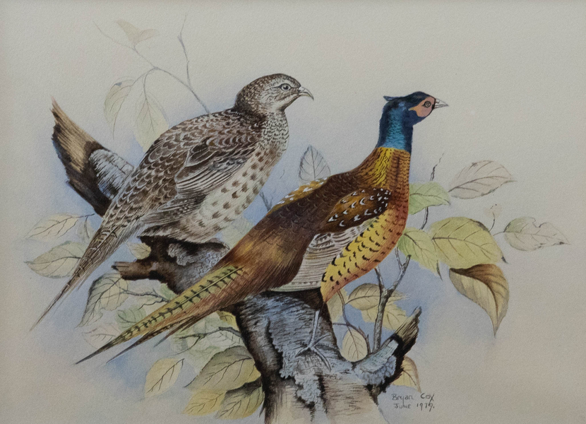 Bryan Cox Framed 20th Century Watercolour, Pheasants Roosting In A Tree photo furniture
