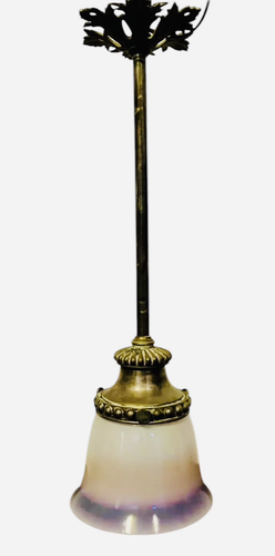 Gorgeous Antique French Rococo Bronze Drop Down Ceiling Shade Light