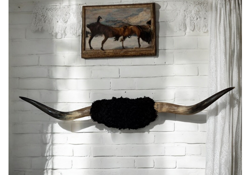 Vintage Pair Large Cow Horns Taxidermy Display Polished 1.6 Metre Long Taxidermy