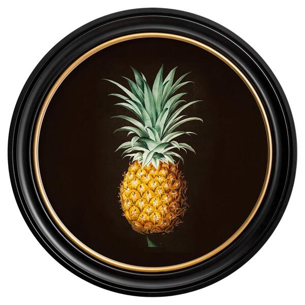 Pineapple Botanical Study Framed Print From French Original Of 1812, New