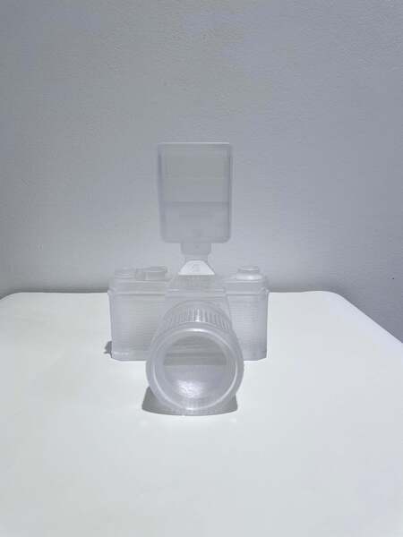 Daniel Arshamcrystal Relic 003   Camera2021