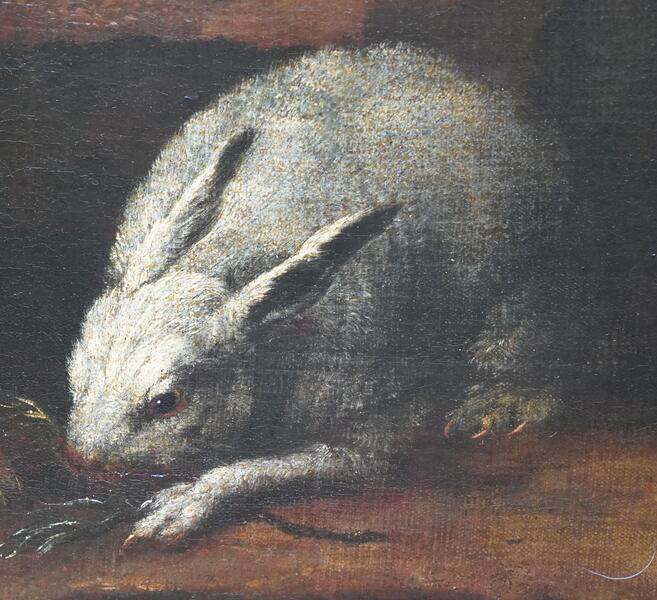 Rabbits Dove And Guinea Pig In An Interior Italian Old Master Art