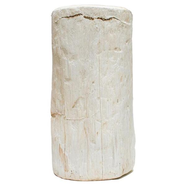 Organic Modern Petrified Wood Side Table With Pyrite