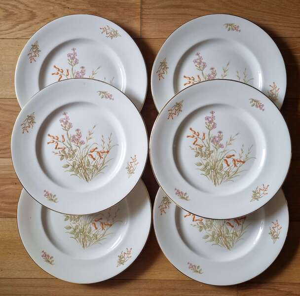 Set Of 6 Plates, Vintage British Marlborough | 1960s English China