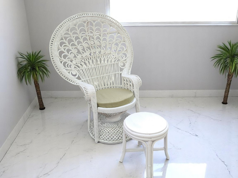 Peacock Chair Mid Century Wicker Chair Vintage Mid Century White