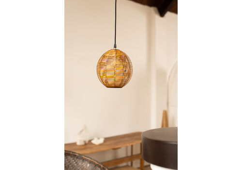 Woven Cane Ceiling Globe With Black Metal Rose C1950