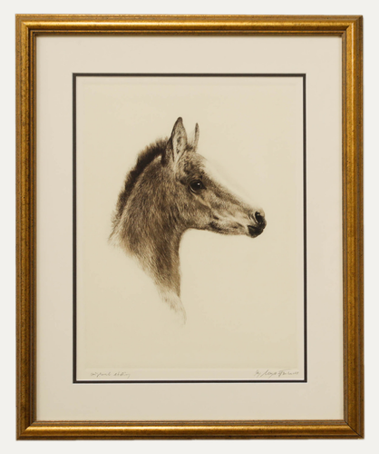 Kurt Meyer Eberhardt (1895 1977) Framed Etching, Study Of A Foal