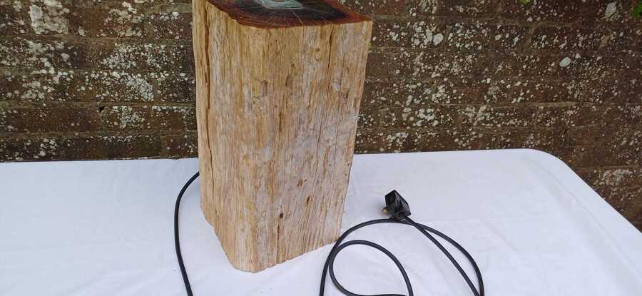 Vast Rustic Reclaimed Wood Log Table Lamp Natural Driftwood Timber Lamp Base With Cracks And Grain Industrial Style Pat Tested Working 15 Kg photo for sale