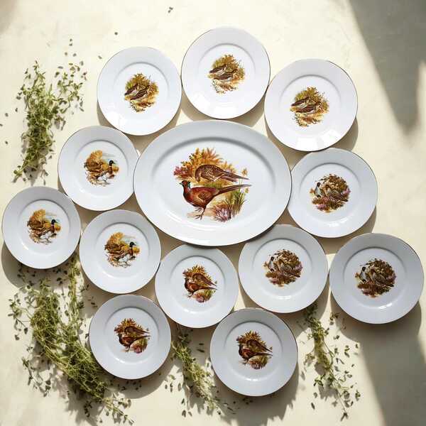 12 Limoges Game Bird Plates & Matching Platter | French Luncheon Plates With Duck, Pheasant, Snipe And Partridge | Elegant Paté Plate Set