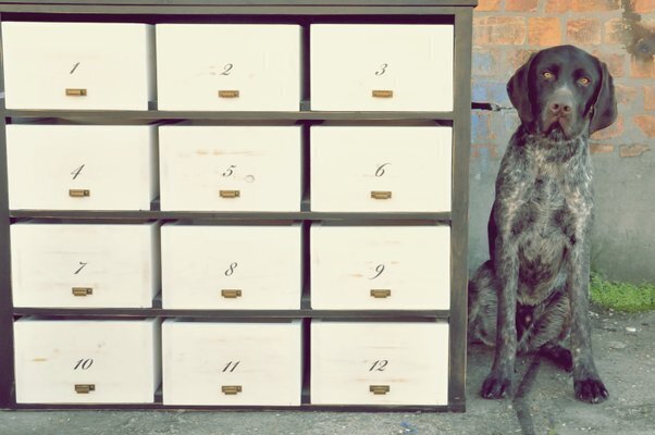 Chest Of Drawers With Twelve Drawers