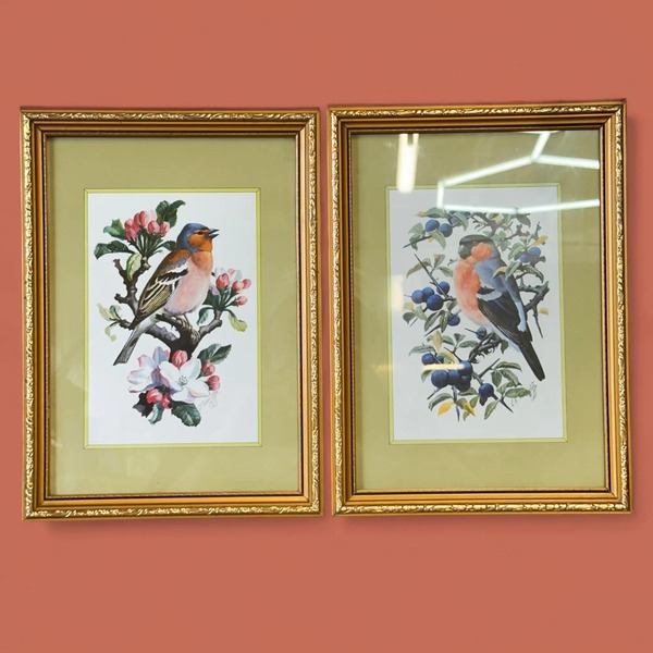 Pair Of Framed C.F. Tunnicliffe Bird Prints, Vintage Chaffinch & Bullfinch Art