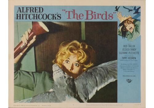 Unknownthe Birds – Original Lobby Card, Directed By Alfred Hitchcock1963