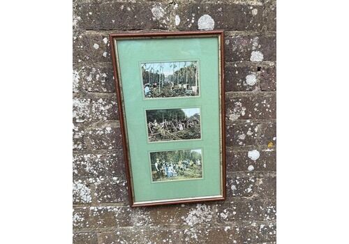 Antique Edwardian Hop Picking Kent Series Invicta Hand Tinted Postcards With Original Stamps, Kent Memorabilia, Incl Italian Address