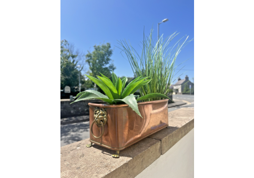 Antique Victorian 13" Copper Windowsill Flower Trough Brass Lion Planter Vintage