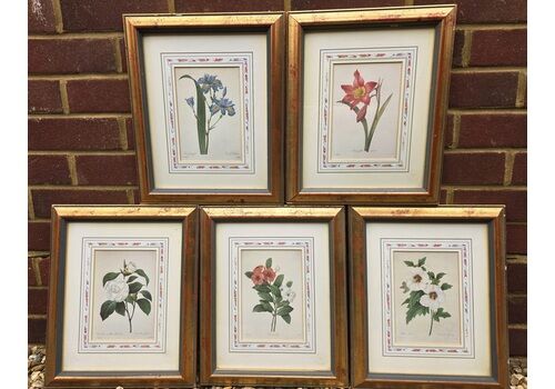 Set Of 5 Exquisite Limited Edition Botanical Prints By Pierre Joseph Redouté