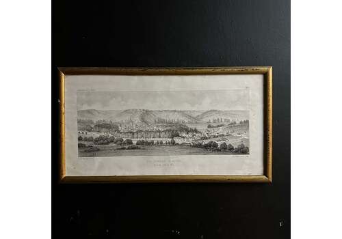 Victor Petit “General View Of Walnut Trees” (1850) French Antique Lithograph
