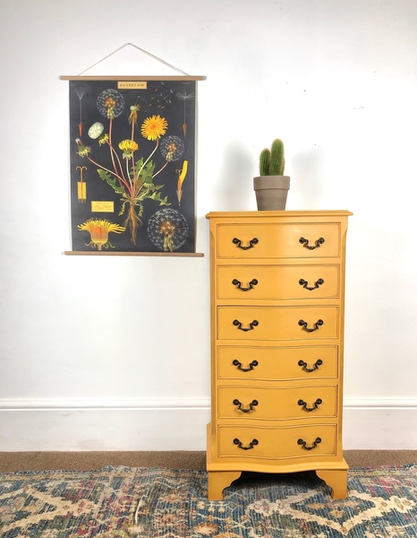 Vintage Curved Front Tallboy Chest Of Drawers Painted Mustard