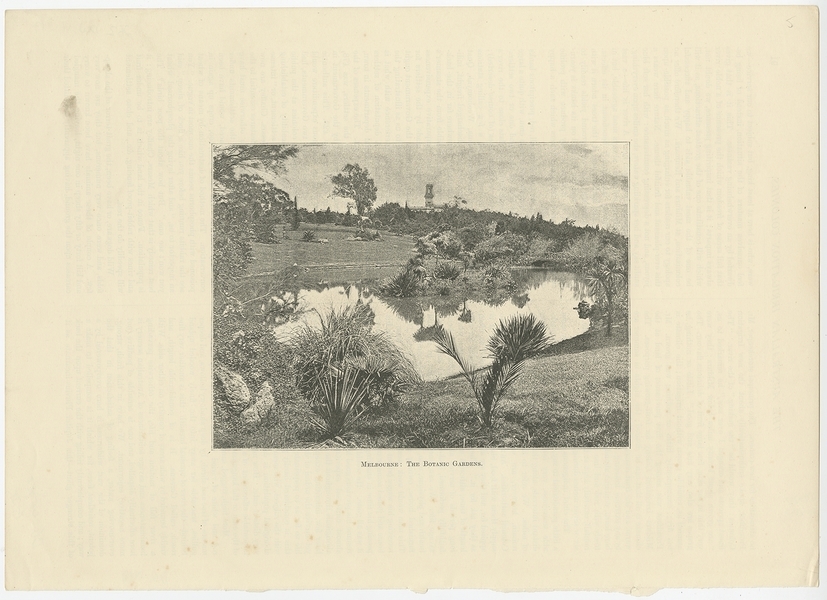 Antique Print Of The Royal Botanic Gardens Of Melbourne (C.1890)