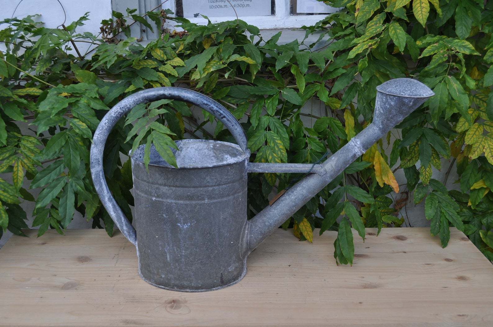 Galvanized Watering Can Vinterior