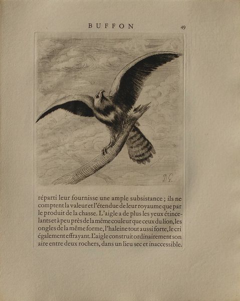 Galanis Dimitrios (1882 1966)   Engraving   Défet De Buffon   The Eagle