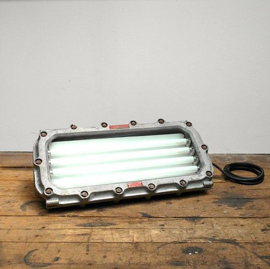 Mapelec Explosion Proof Light